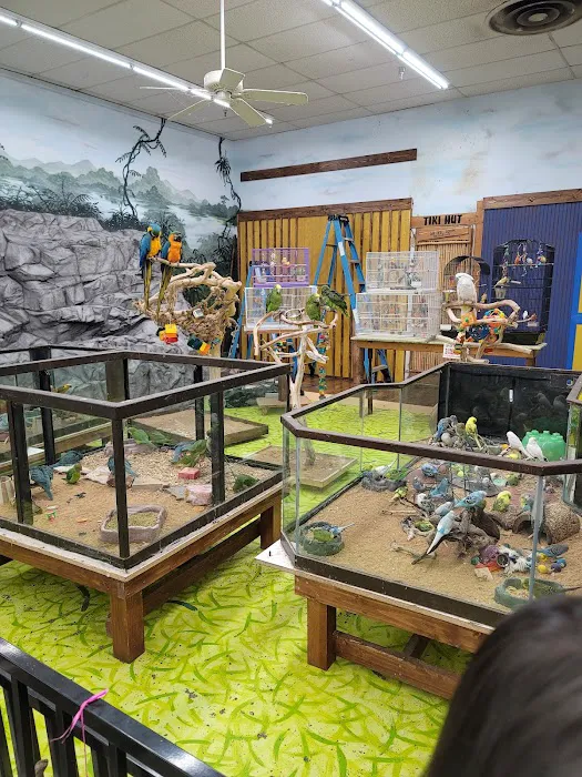 Polly's Pet Shop 3