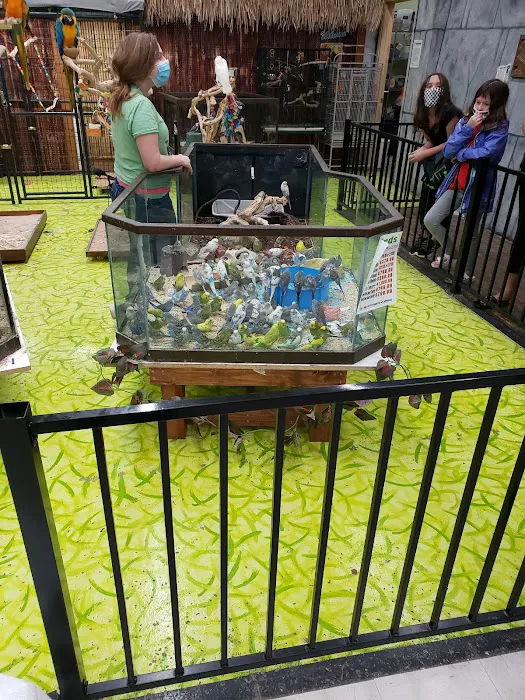Polly's Pet Shop 2
