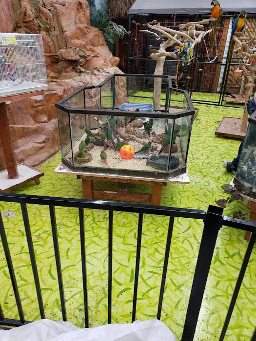 Polly's Pet Shop 8