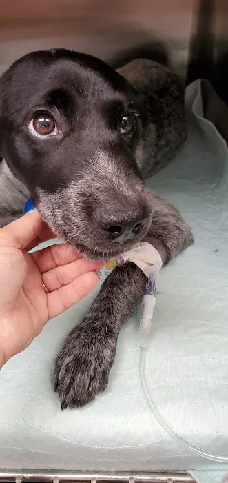 Trousdale County Veterinary Services 4
