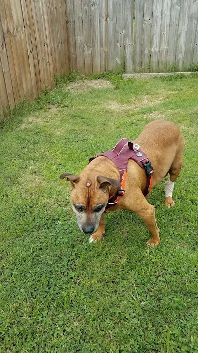 Trousdale County Veterinary Services 3