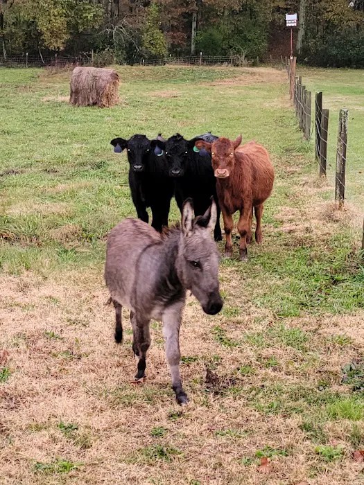 Trousdale County Veterinary Services 7