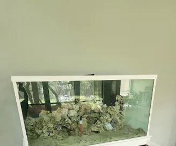 Reklaw Reef