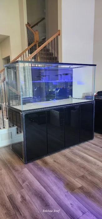 Reklaw Reef 2