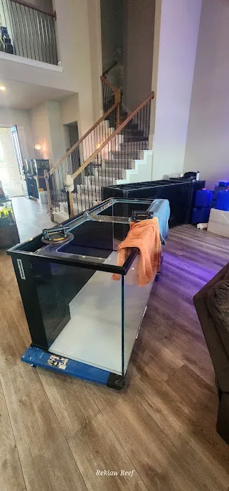 Reklaw Reef 3