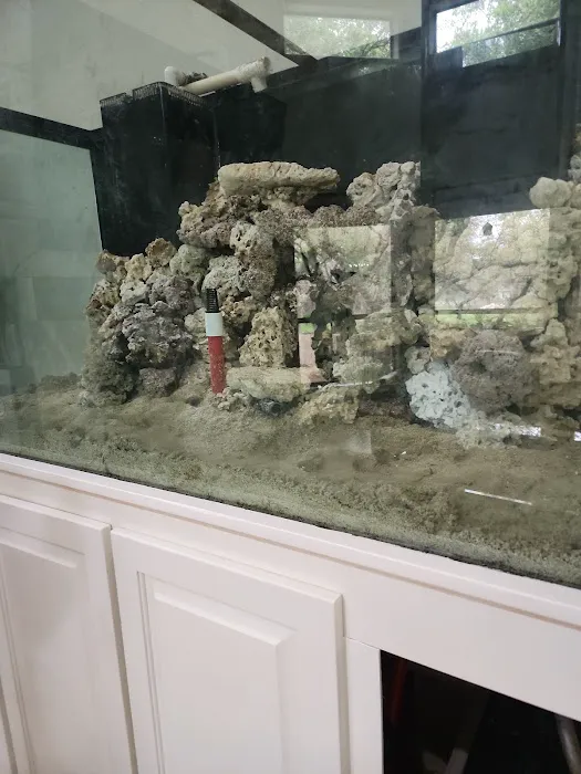 Reklaw Reef 10