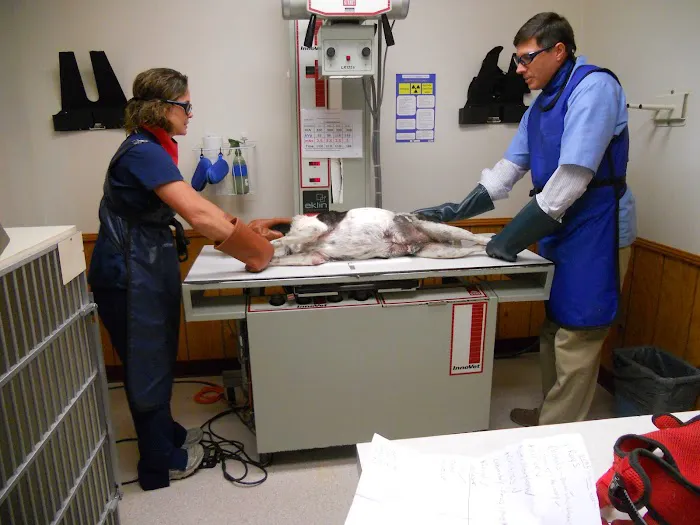 VCA Ragland & Riley Animal Hospital 6