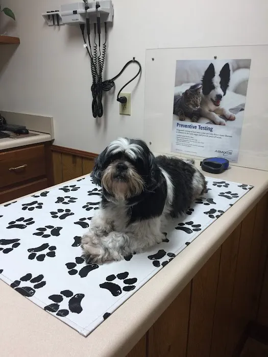 VCA Ragland & Riley Animal Hospital 3