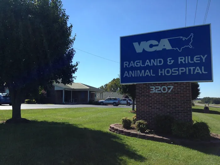 VCA Ragland & Riley Animal Hospital 10
