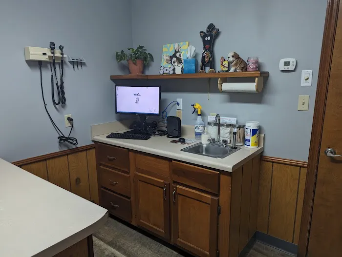 VCA Ragland & Riley Animal Hospital 4