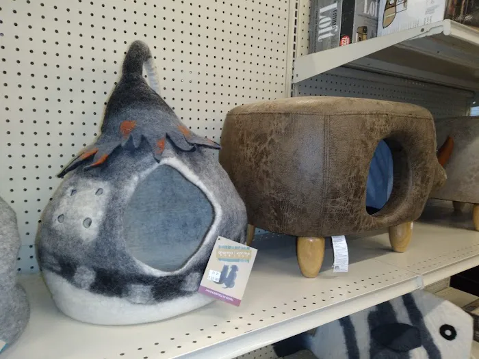 Bird Dog & Cat Fish 7
