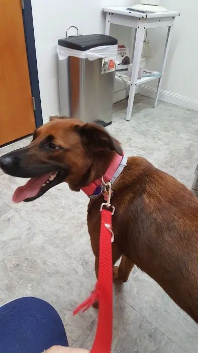 Livingston Veterinary Clinic 3