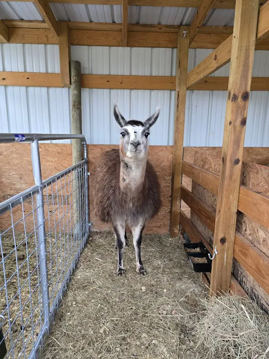 Livingston Veterinary Clinic 4