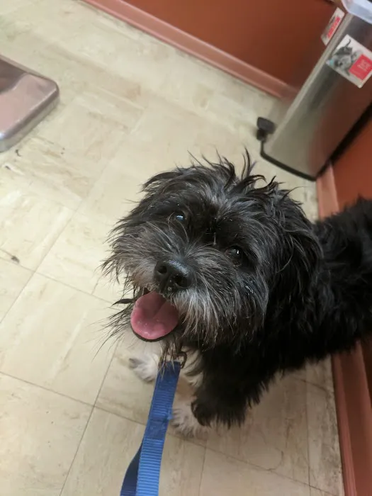 Livingston Veterinary Clinic 7