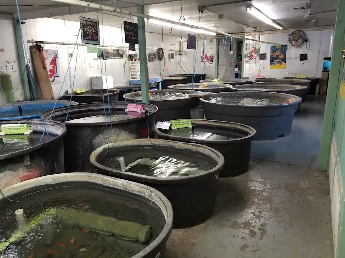 Papa Jim's Tropical Fish 10