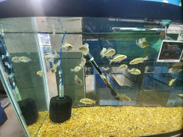 Papa Jim's Tropical Fish 5