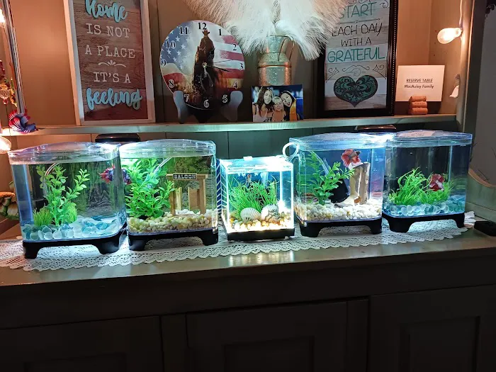 Papa Jim's Tropical Fish 1