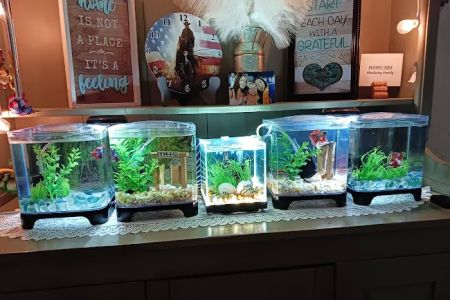 Papa Jim's Tropical Fish