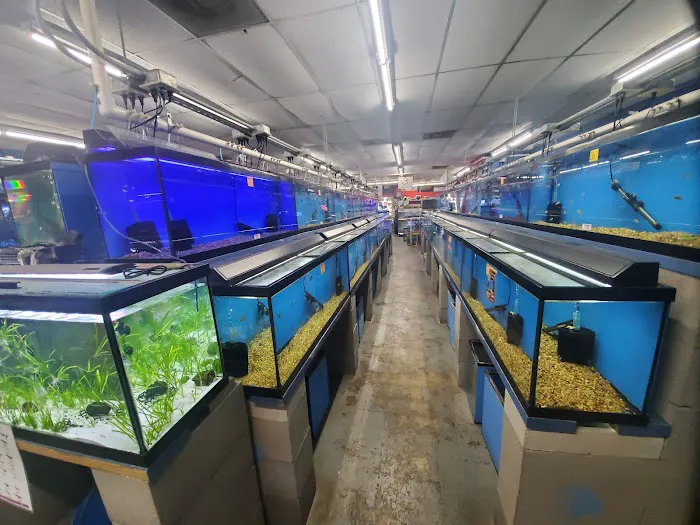 Papa Jim's Tropical Fish 3