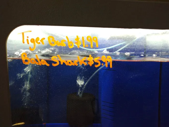 Southside Aquatics 5