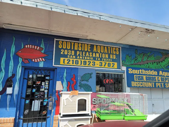 Southside Aquatics 4