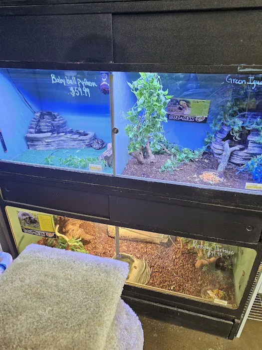 Southside Aquatics 10