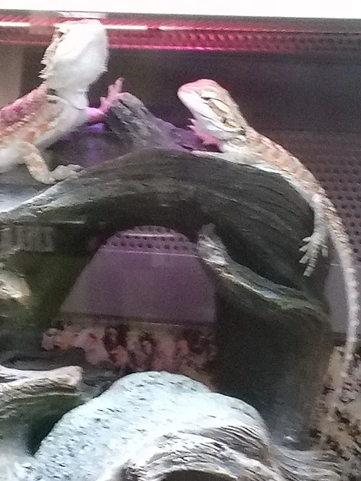 Petco 4