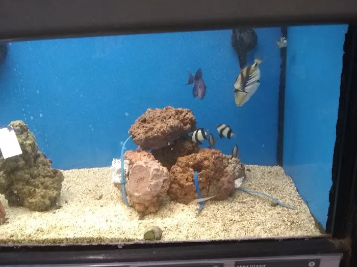 Petco 3