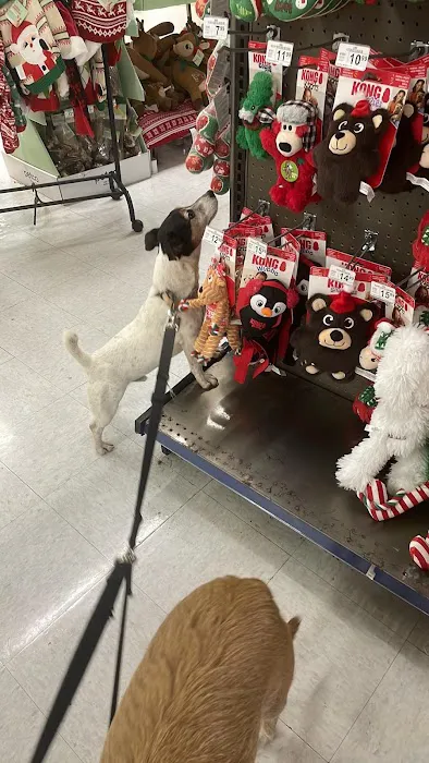 Petco 2