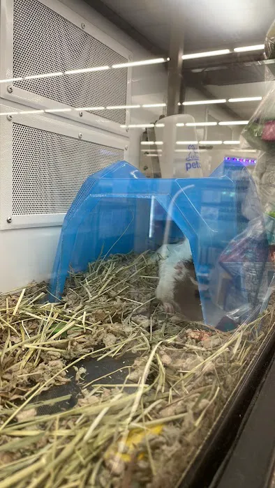 Petco 6
