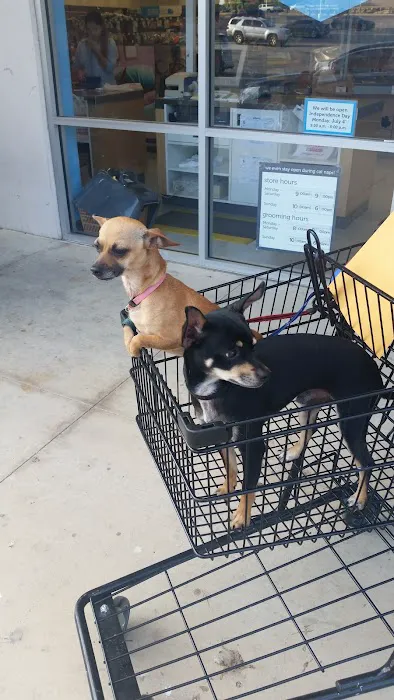 Petco 9