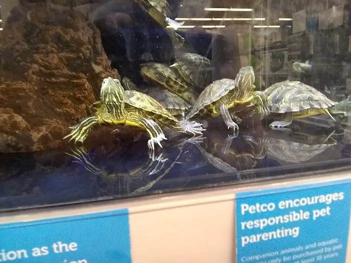 Petco 1