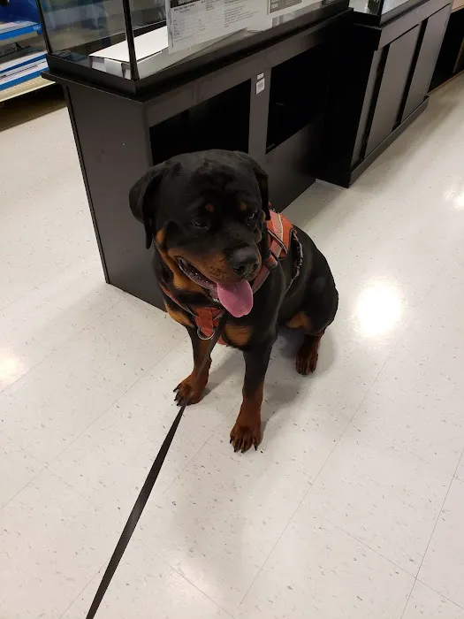 Banfield Pet Hospital 12