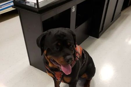 Banfield Pet Hospital