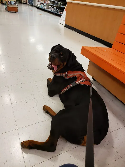 Banfield Pet Hospital 12