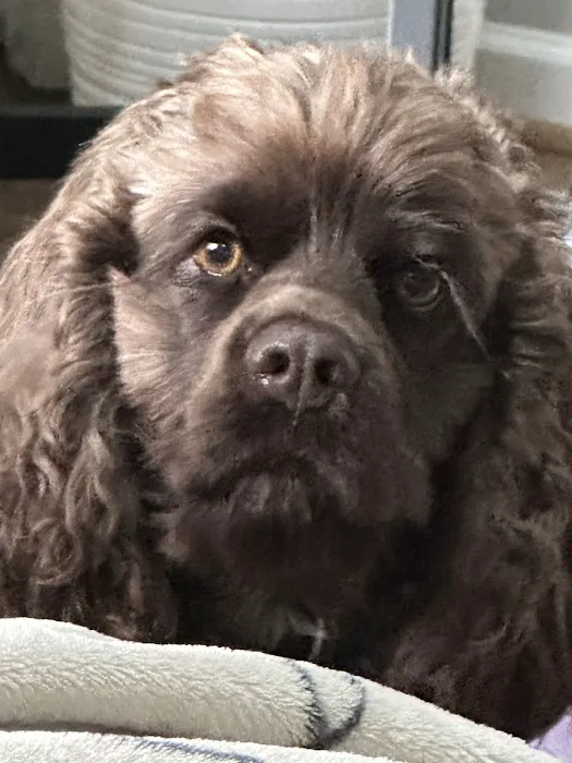 Banfield Pet Hospital 12