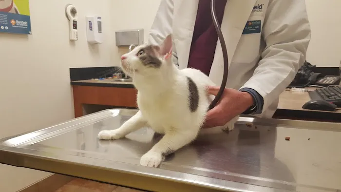 Banfield Pet Hospital 12