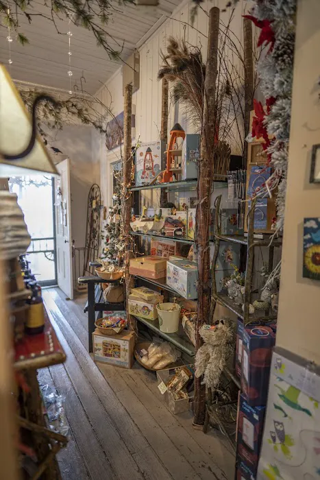 A Little Nature Store 6