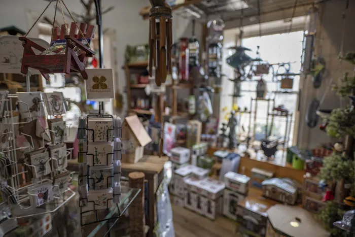 A Little Nature Store 3