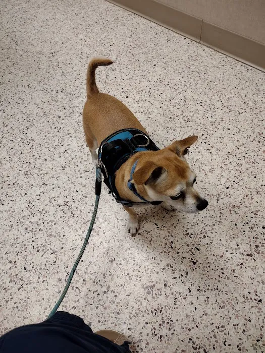Colony Animal Hospital 3