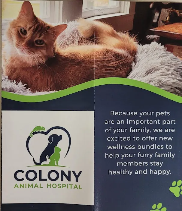 Colony Animal Hospital 6