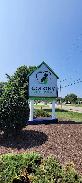 Colony Animal Hospital 2