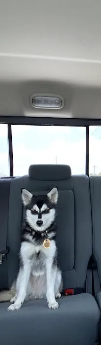 Petco 1