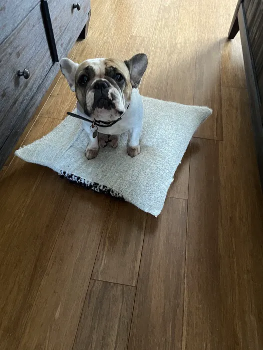 Petco 8