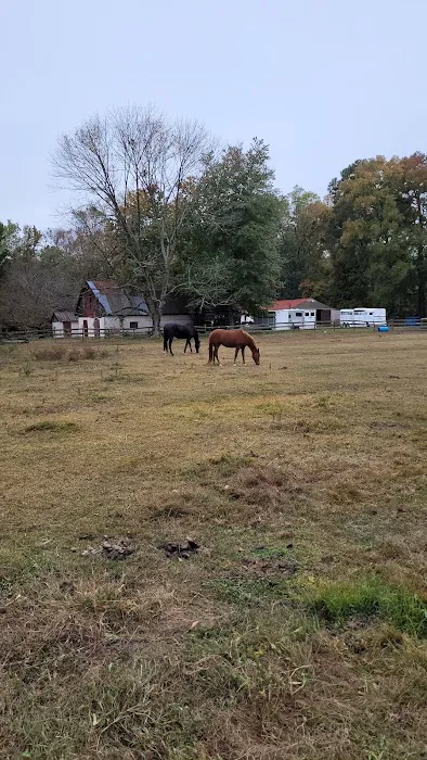 Pine Meadow Veterinary Hospital 12