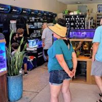 Water Garden Gems Garden Center ico