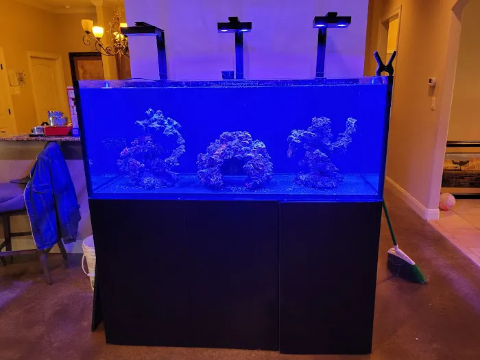 CenTex Reefers “Affordable Aquarium Maintenance, Service & Care” 4