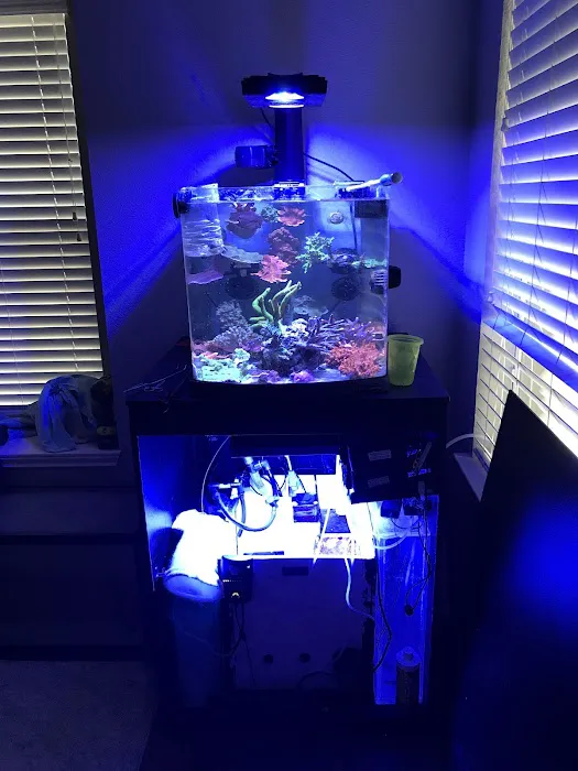 CenTex Reefers “Affordable Aquarium Maintenance, Service & Care” 5