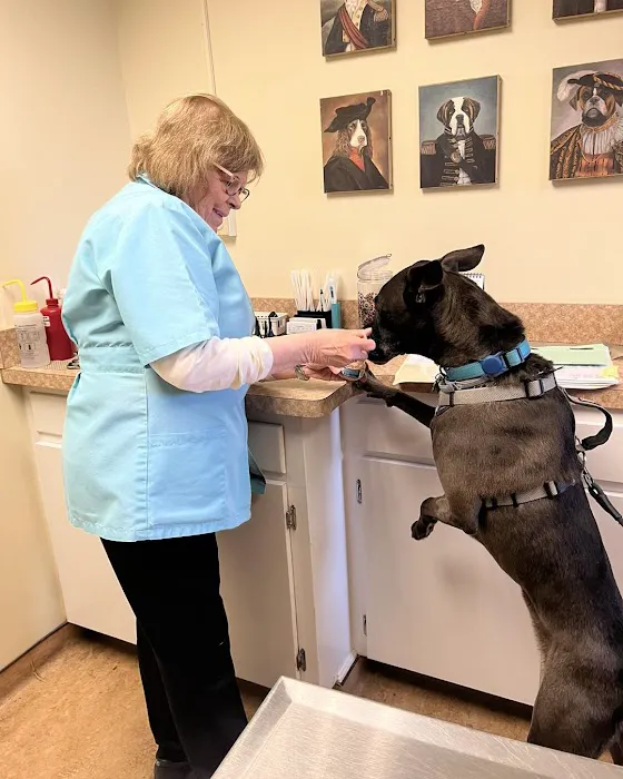 Armistead Avenue Veterinary Hospital 12