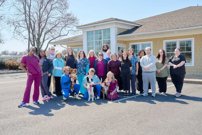 Armistead Avenue Veterinary Hospital 12